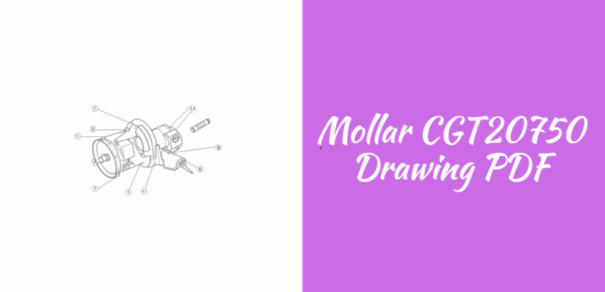 Mollar CGT20750 Drawing PDF